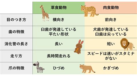 草食類|「草食動物」ってどんな動物？肉食動物とは何が違。